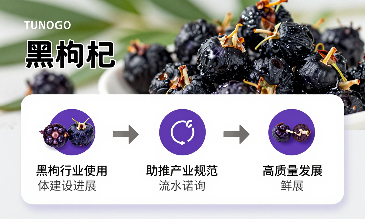 黑枸杞行业信用体系建设进展 助推产业规范化高质量发展科普
