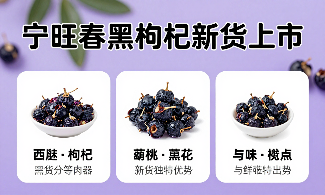 宁旺春黑枸杞新货上市特征科普 带你了解新货独特优势与辨识要点