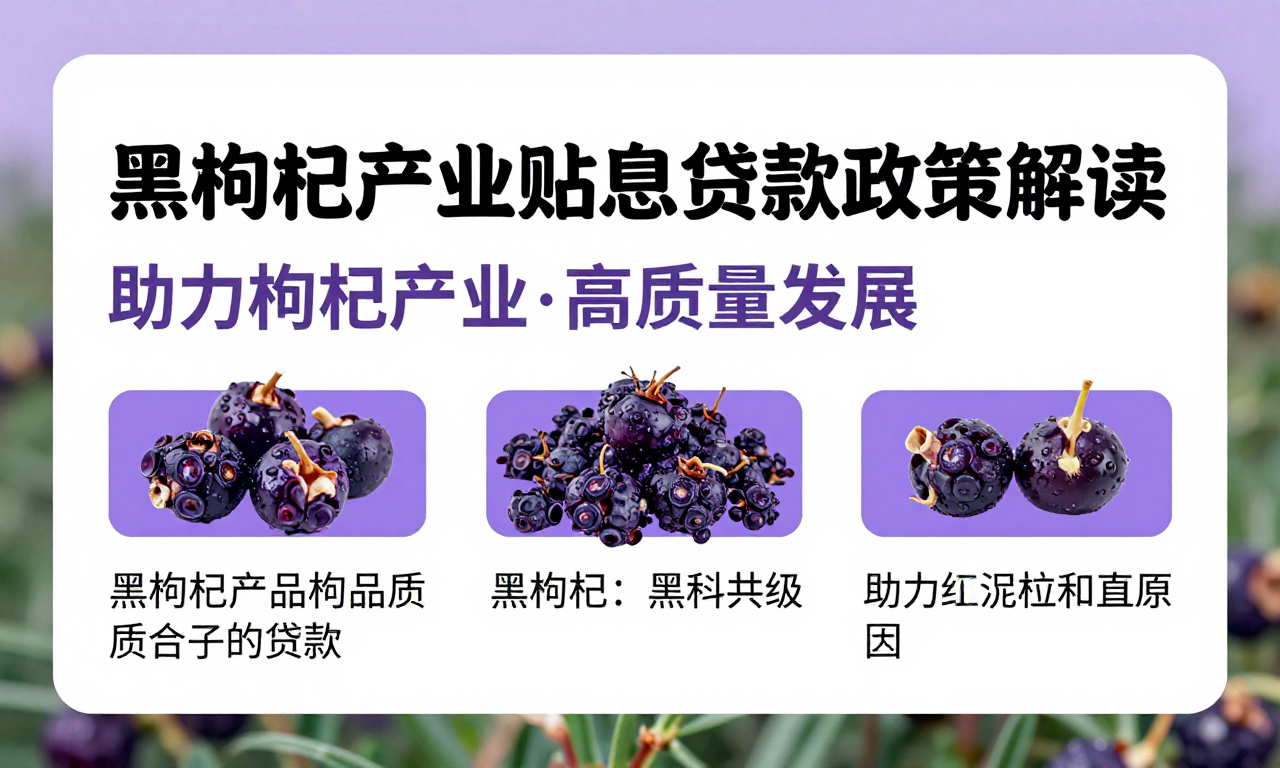 黑枸杞产业贴息贷款政策解读 助力枸杞产业高质量发展知识科普