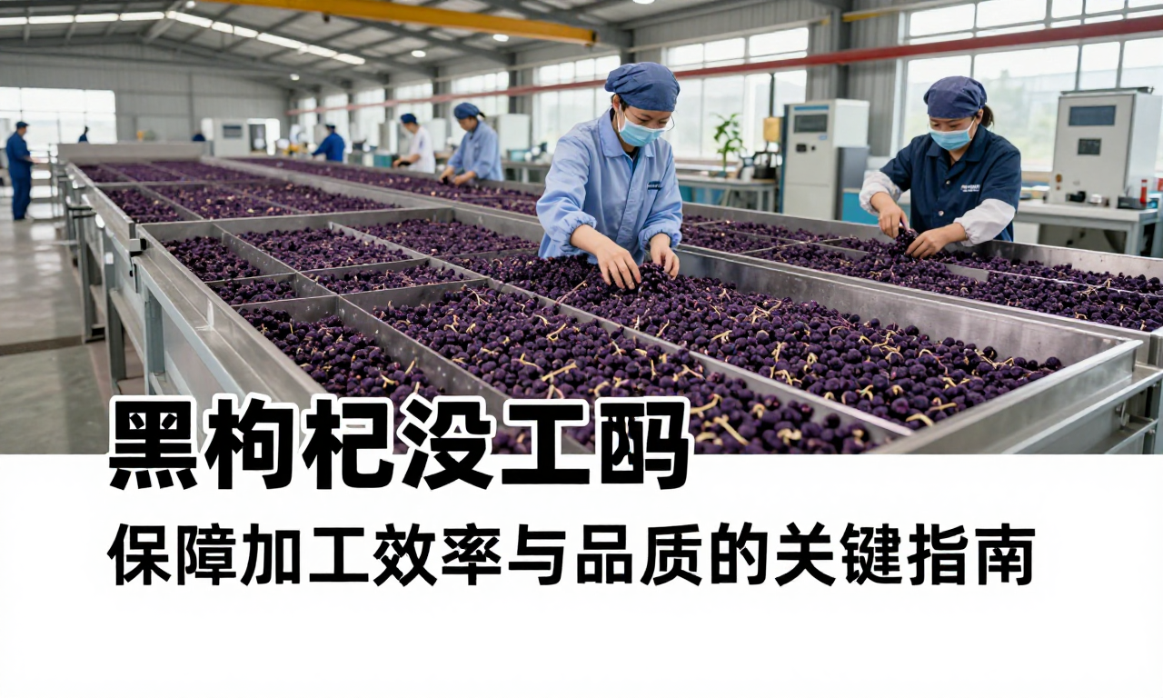 黑枸杞加工旺季设备运维工艺科普 保障加工效率与品质的关键指南